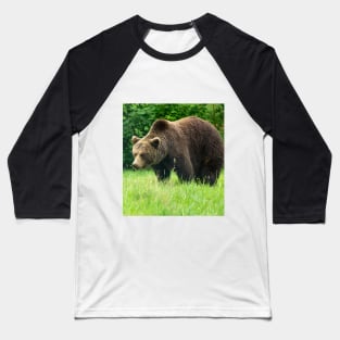 Brown bear Baseball T-Shirt